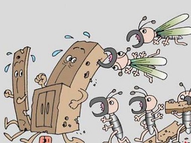虎门白蚁防治公司白蚁危害房屋装修“必修课”