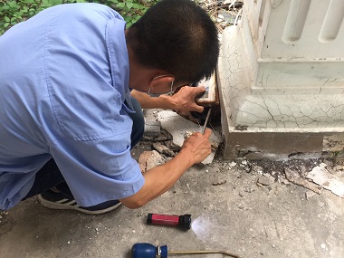 沙田杀灭白蚁中心白蚁越灭越多？90%的人都踩了这些坑！